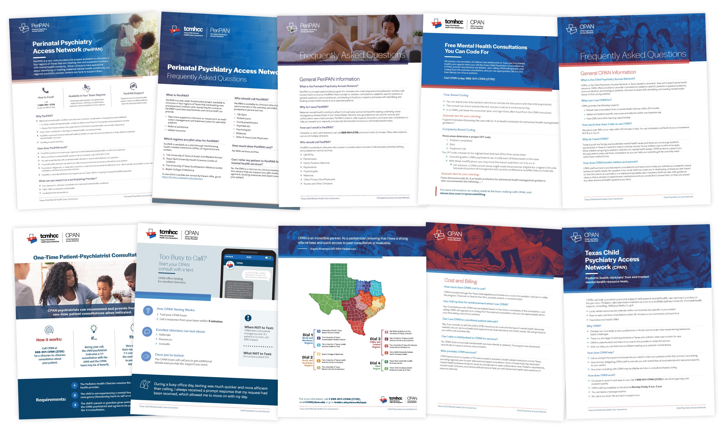 Examples of print materials designed by the 12 participating institutions accross Texas.